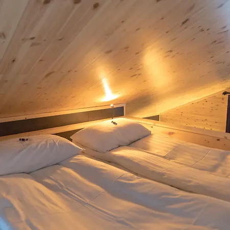 Star Arctic & Activities Saariselka