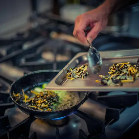 Star Arctic & Activities فندق