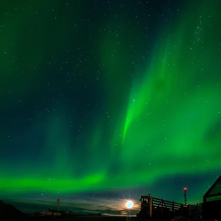 Star Arctic & Activities