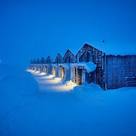 فندق Star Arctic & Activities 4*