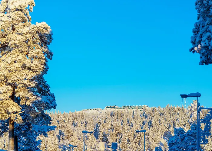 Hotel Star Arctic & Activities