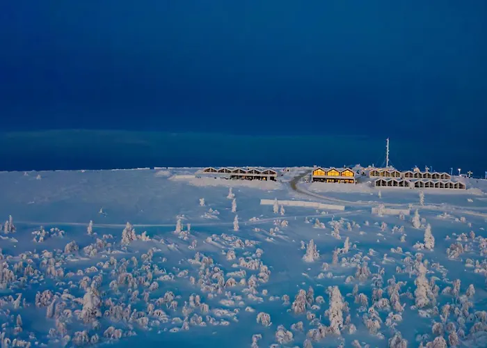 Star Arctic & Activities