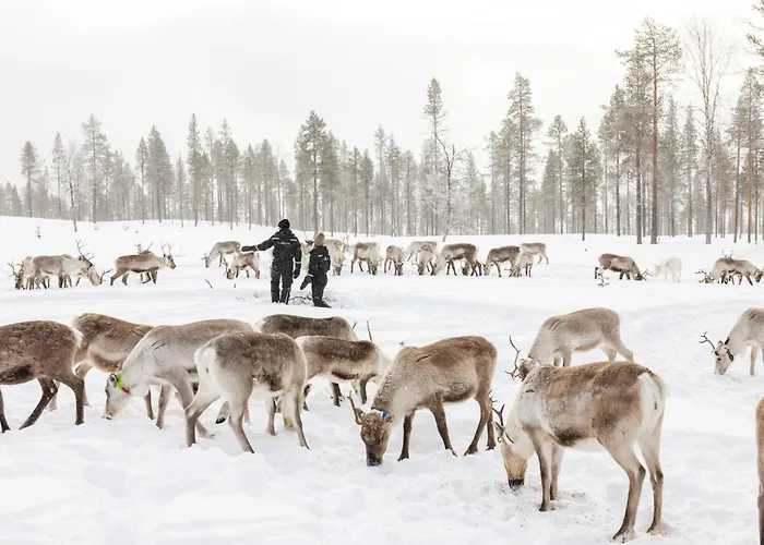 Star Arctic & Activities Hotel Saariselka