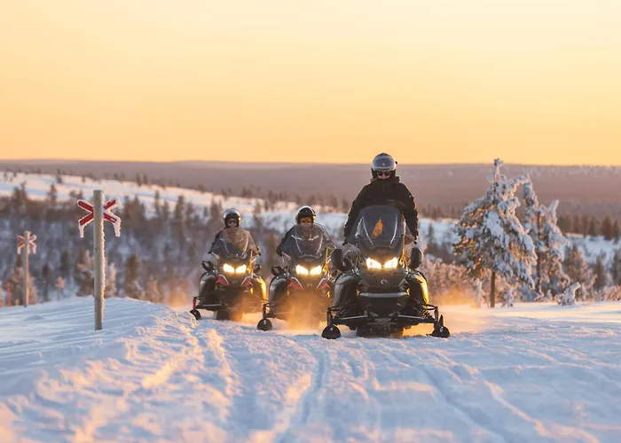 Star Arctic & Activities