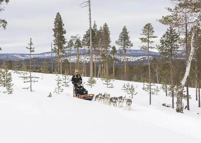 Star Arctic & Activities