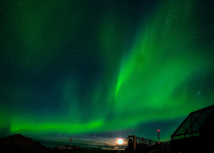 Star Arctic & Activities