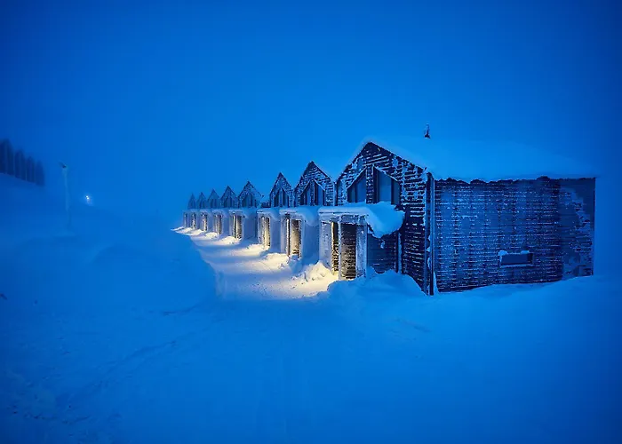 Hotel Star Arctic & Activities 4*